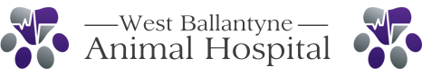 West Ballantyne Animal Hospital