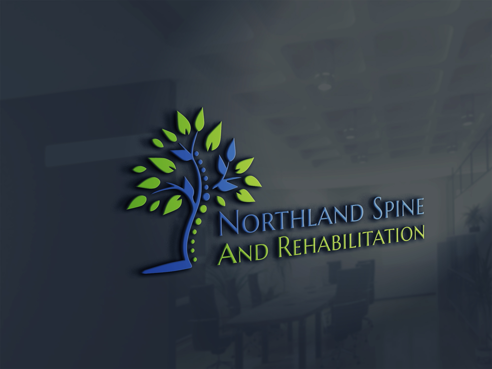 Northland Spine and Rehabilitation