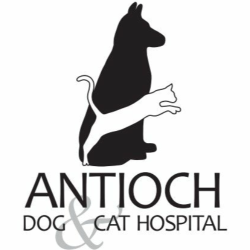 Antioch Dog and Cat Hospital