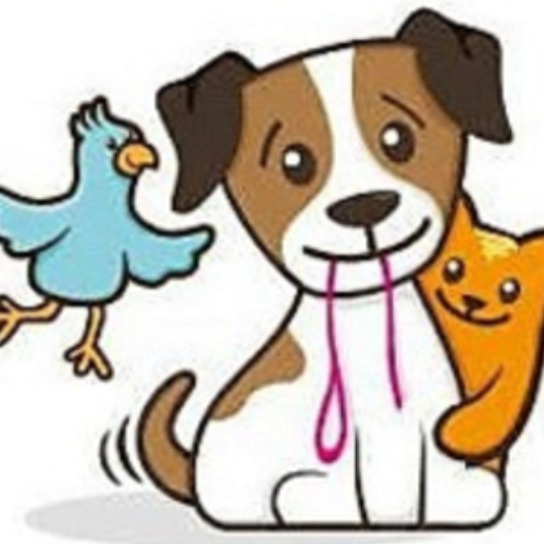 Austin Pet Sitting Services