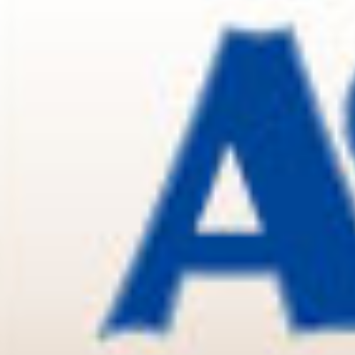 ACTION Termite & Pest Control
