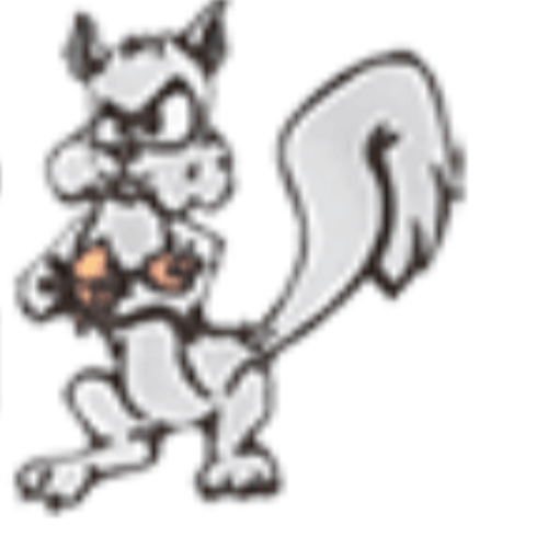 Critter Ridder LLC