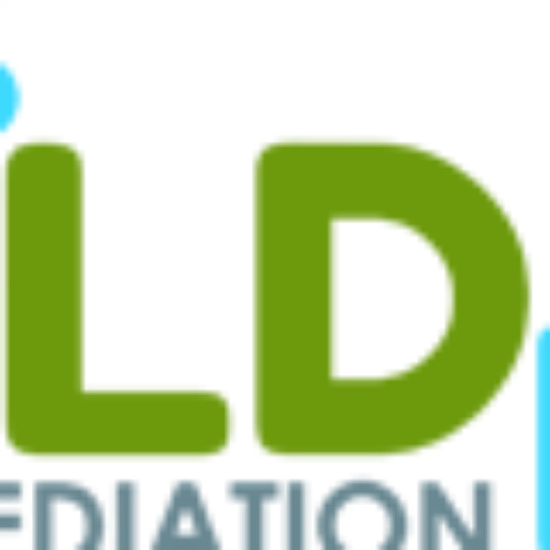 Grand Rapids Mold Remediation Pros