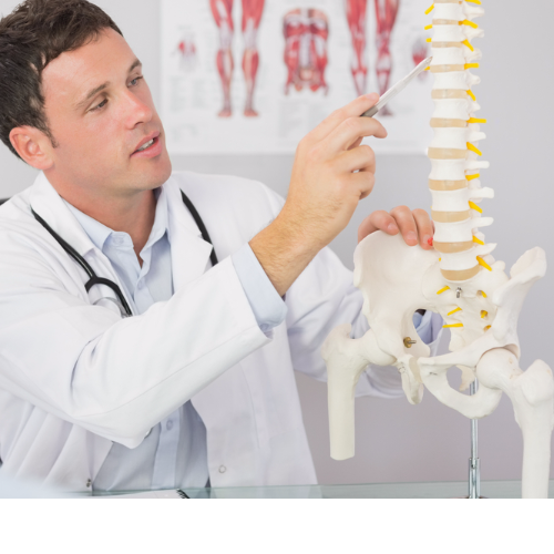 Regine Chiropractor