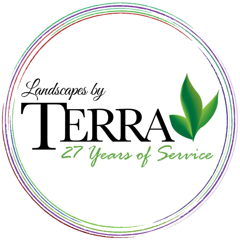 Landscapes by Terra