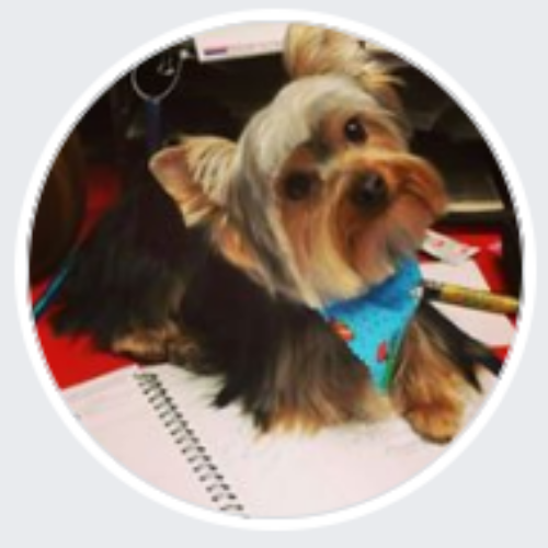 Pet Groomers in Lincoln, Nebraska, Nebraska Last updated March 2024