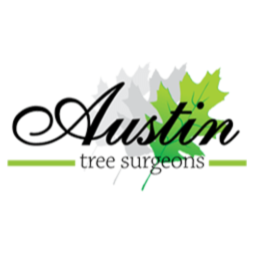 Austin Tree Surgeons