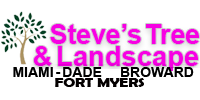 Steve's Tree & Landscape Corp