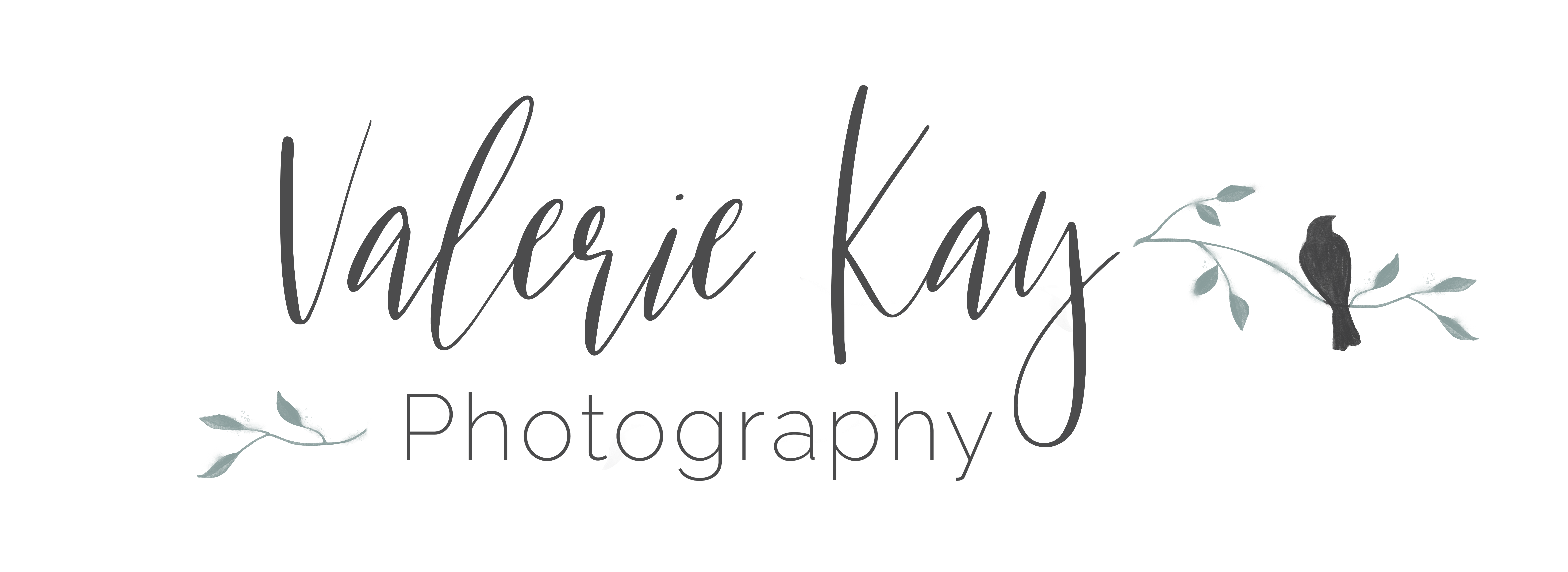 Valerie Kay Photography